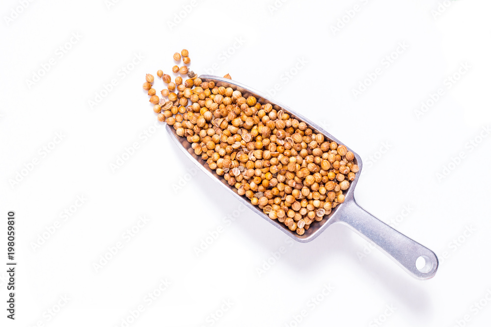 Wall mural top view organic coriander seeds in iron scoop on white background