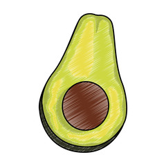 Avocado half cut vector illustration graphic design