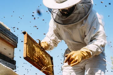 Fotobehang Imker werken verzamelen honing. © santypan