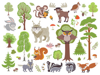 Big set of wild forest animals birds and trees. Cartoon forest isolated on white background