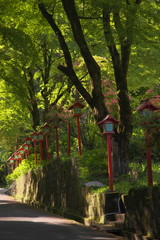 お寺の春めく参道