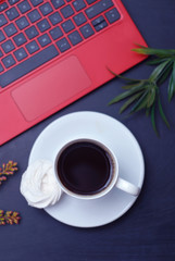 Fototapeta na wymiar Worktable with Laptop, Cup of Coffee, Green Leaves. Dark blue, Toned Table. Flat Lay.