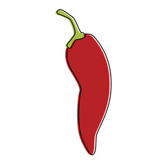 Mexican spicy chilli vector illustration graphic design