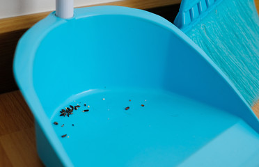 lizard poo in a blue bin