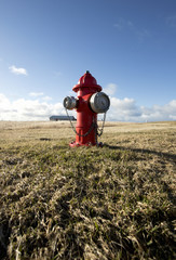 Fire hydrant on the grass