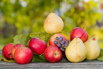 fruits outdoor