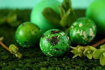 Quail and chicken eggs coloured green on the grass