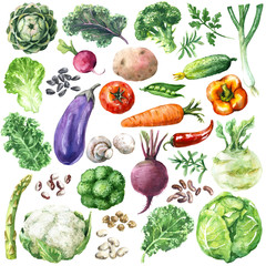 Watercolor  Vegetables Set - obrazy, fototapety, plakaty