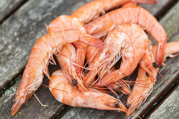 gambas