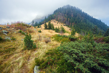 Serene landscape in the mountains of Montenegro