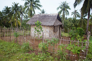 Fototapeta na wymiar Rural Bamboo house in the jungle. Philippines