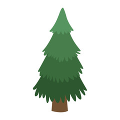 Tree pine isolated vector illustration graphic design