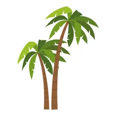 Poster Tree palms cartoons vector illustration graphic design © Jemastock