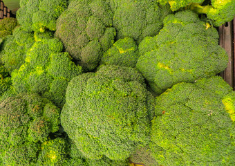 a whole box of fresh green cabbage heads of broccoli