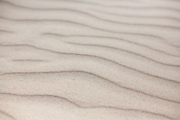 Fototapeta na wymiar Waves of sand on the shore..