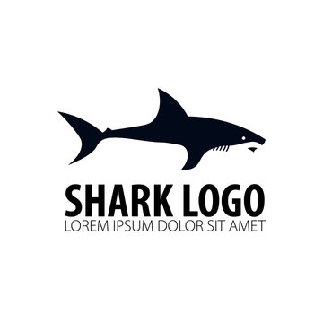 Emblem or logo with Shark. Vector illustration