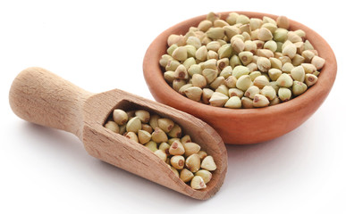 Buckwheat over white background