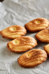 Sweet almond cookies put in rows on white paper background, close-up, selective focus
