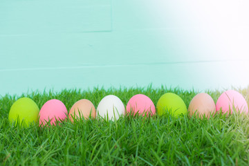 Row of Easter eggs in Fresh Green Grass