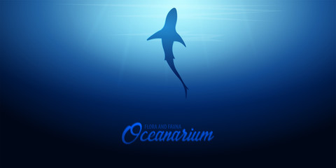 Underwater background with sun rays and silhouette of Shark. Deep Ocean banner. Color vector illustration