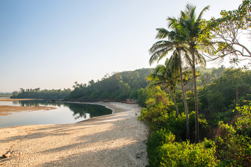 Landscape with palms in Ingia, Goa.