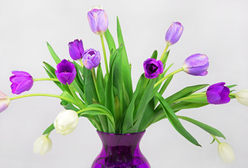 Graceful Purple & White Tulip Bouquet