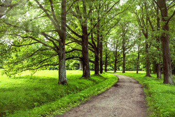 Pathway in the park-ensemble Oranienbaum in Lomonosov, St. Petersburg, Russia. 