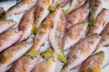 Various fishes on the market, Madeira, Portugal