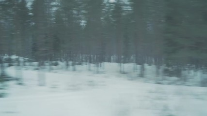 driving plate from window of a train of winter forest
