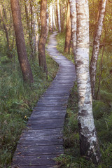 Poleski National Park in Poland