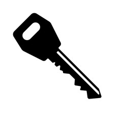 Key, simple vector illustration. Icon.