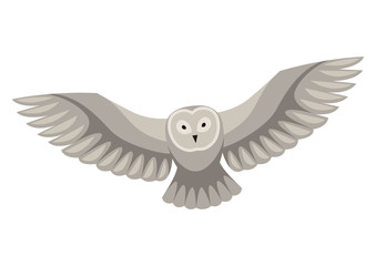 Stylized illustration of owl. Woodland forest animal on white background