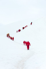 Passengers hiking in Antarctica.