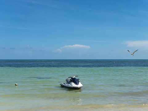 Sea doo and seagulls on the beach in Key West