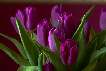 Lilac Tulips. Bud, petals, bouquet/Lilac tulips in a decorative vase stand on a table. Russia, Moscow, holiday, gift, mood, nature, flower, plant, bouquet, macro