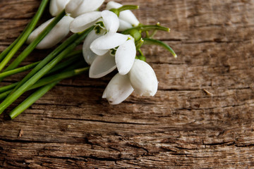 Bouquet of white snowdrops on rustic wooden background