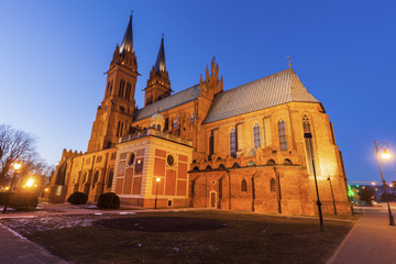 Fototapeta na wymiar Basilica Cathedral of St. Mary of the Assumption in Wloclawek