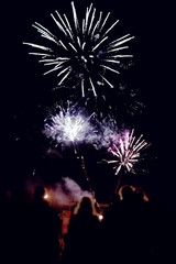 people look at the fireworks in the sky