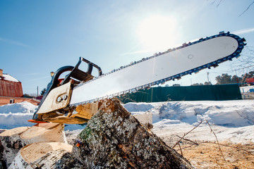 Chainsaw. The sawmill, felled trees lie in sawdust. Chainsaw is on top of tree.