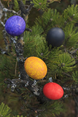 Painted eggs in a tree.
