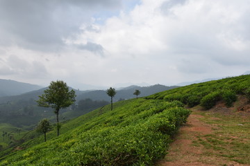 dnt look back you're not going that way