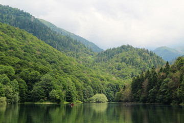 Fototapeta na wymiar Biogradska gora, National Park, Montenegro 
