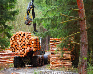 Lumberjack with modern harvester working in a forest. Wood as a source renewable energy. 