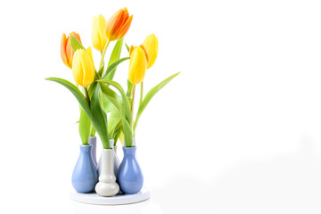 Fototapeta na wymiar Tulpen in einer Vase isoliert vor weißem Hintergrund