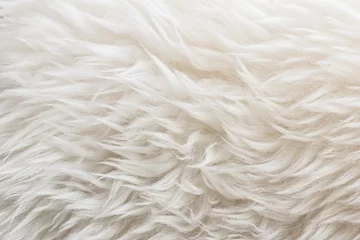 Foto op Canvas Witte zachte woltextuurachtergrond, watten, lichte natuurlijke schapenwol, close-uptextuur van witte pluizige vacht, wol met beige toon, bont met een delicate perziktint © Илья Подопригоров