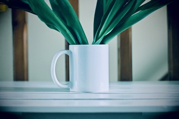 White mug mockup