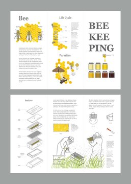 Beekeeping honey vector template with apiculture equipment, beekeeper, smoker, beehive, bee, honeycomb, illustrating the life cycle of a bee, bee parasites, honey gathering