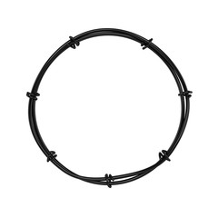 Circular Wire 3D Rendering