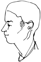 vector sketch of a beautiful man profile