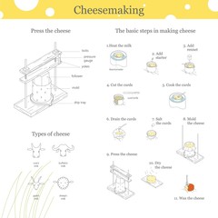 Illustration of the process of cheese production. Cooking cheese instructions.